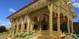 NEW PATTHASIMA AND HORIZON