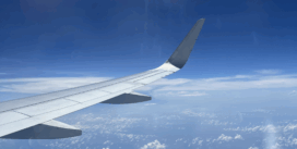 CRAZY IN LOVE CRAZY IN LOVE